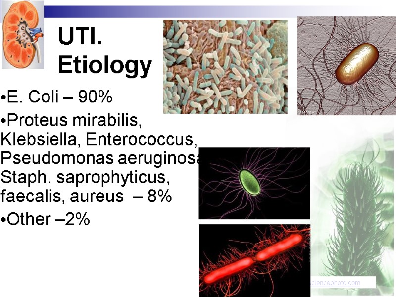 UTI.  Etiology E. Coli – 90%  Proteus mirabilis, Klebsiella, Enterococcus, Pseudomonas aeruginosa,
